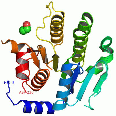 Image Asym./Biol. Unit - manually