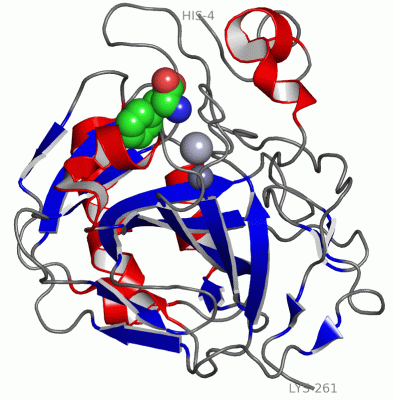 Image Asym./Biol. Unit - manually