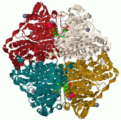 Image Biol.Unit 1 - manually