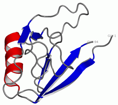 Image NMR Structure - manually