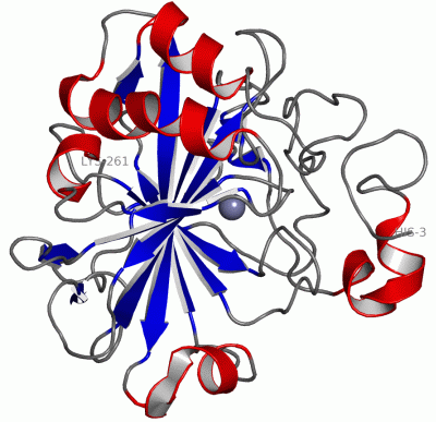 Image Asym./Biol. Unit - manually