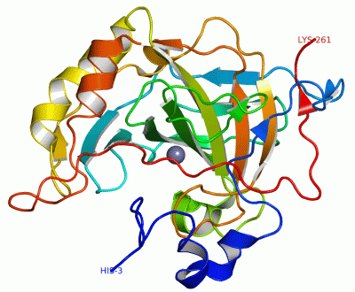 Image Asym./Biol. Unit - manually