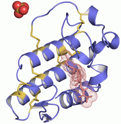 Image Asym./Biol. Unit - manually