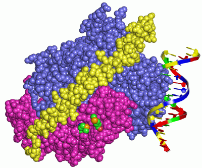 Image Asym./Biol. Unit - manually