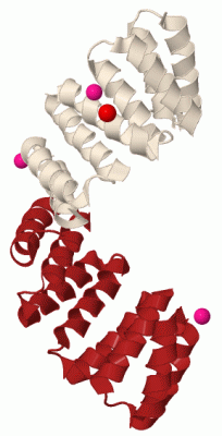 Image Biol.Unit 1 - manually