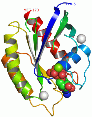 Image Asym./Biol. Unit - manually