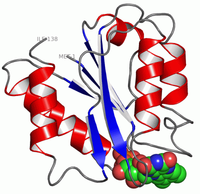 Image Asym./Biol. Unit - manually