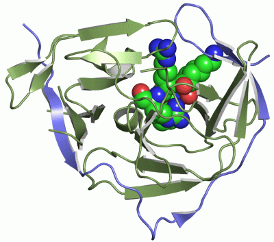 Image Asym./Biol. Unit - manually