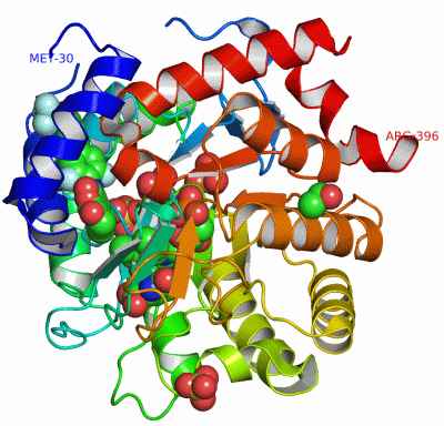 Image Asym./Biol. Unit - manually