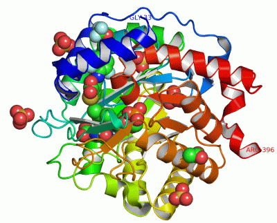 Image Asym./Biol. Unit - manually