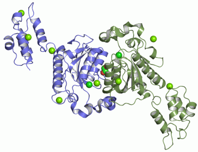 Image Asym./Biol. Unit - manually