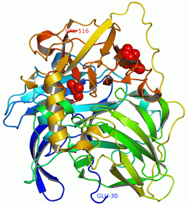 Image Asym./Biol. Unit - manually