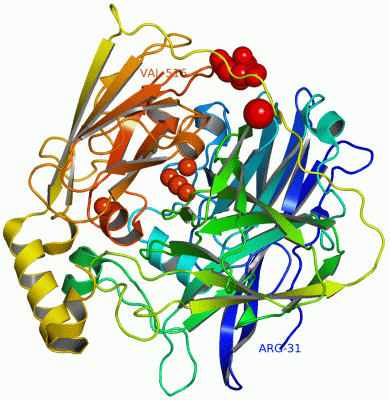 Image Asym./Biol. Unit - manually