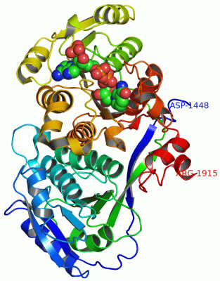 Image Asym./Biol. Unit - manually