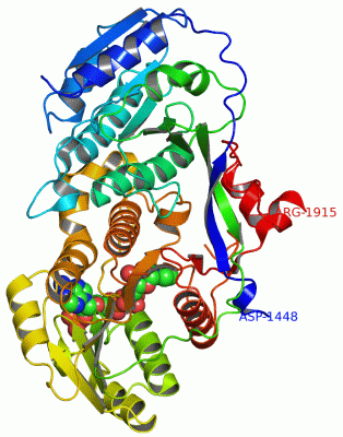 Image Asym./Biol. Unit - manually