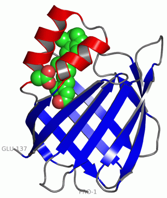 Image Asym./Biol. Unit - manually