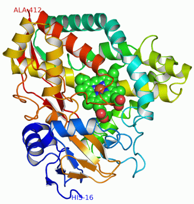 Image Asym./Biol. Unit - manually