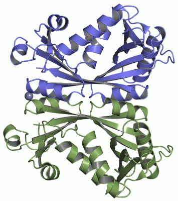 Image Asym./Biol. Unit - manually