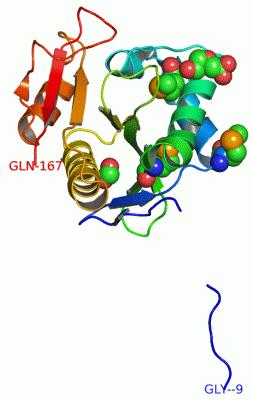 Image Asym./Biol. Unit - manually