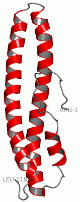 Image NMR Structure - manually