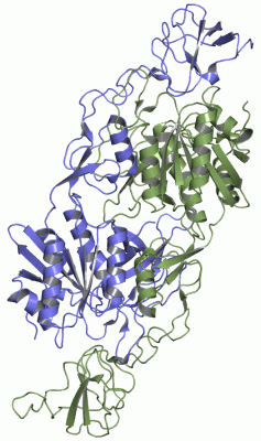 Image Asym./Biol. Unit - manually