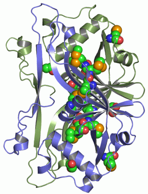 Image Asym./Biol. Unit - manually