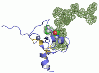 Image NMR Structure - manually