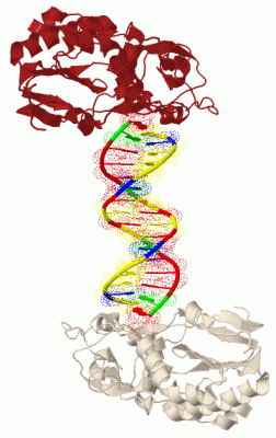 Image Biol.Unit 1 - manually