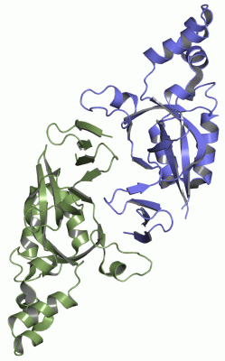 Image Asym./Biol. Unit - manually