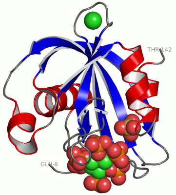 Image Asym./Biol. Unit - manually