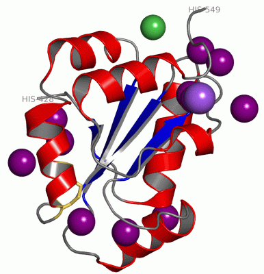 Image Asym./Biol. Unit - manually