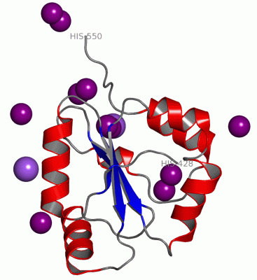 Image Asym./Biol. Unit - manually