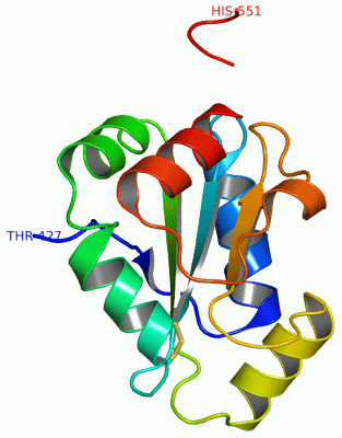 Image Asym./Biol. Unit - manually