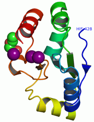 Image Asym./Biol. Unit - manually