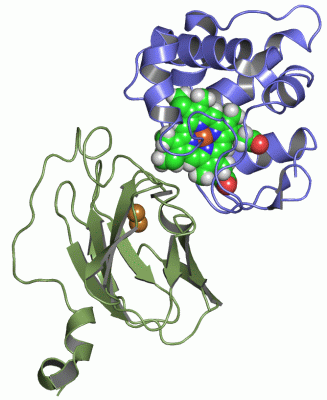 Image NMR Structure - manually