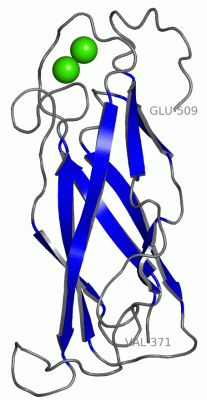 Image NMR Structure - manually