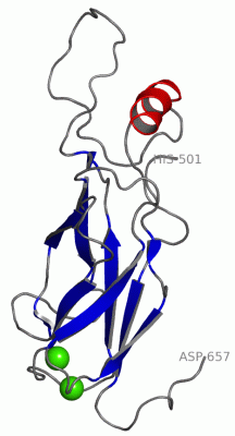 Image NMR Structure - manually