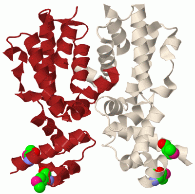 Image Biol.Unit 1 - manually