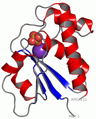 Image Asym./Biol. Unit - manually