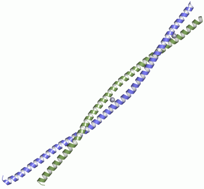 Image Asym./Biol. Unit - manually