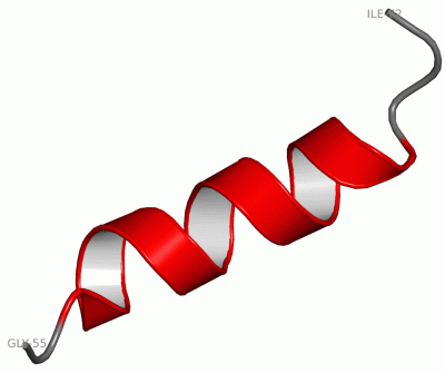 Image NMR Structure - manually