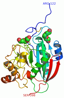 Image Asym./Biol. Unit - manually