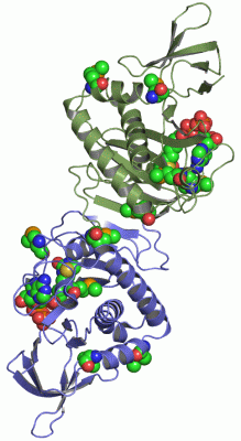 Image Asym./Biol. Unit - manually