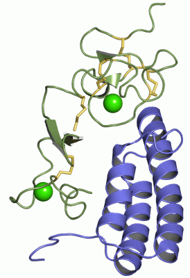 Image NMR Structure - manually