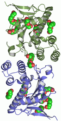 Image Asym./Biol. Unit - manually