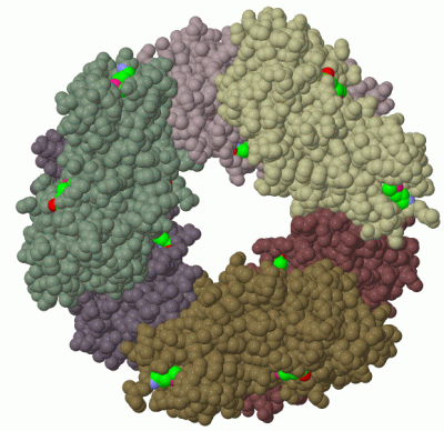 Image Biol.Unit 1 - manually