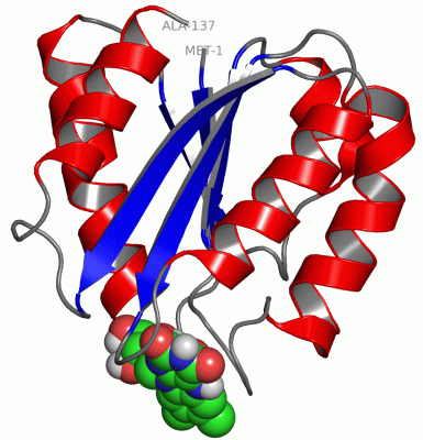 Image NMR Structure - manually