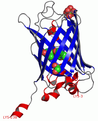 Image Asym./Biol. Unit - manually