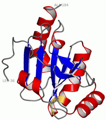 Image Asym./Biol. Unit - manually