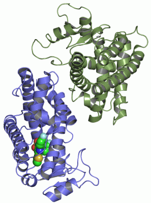 Image Asym./Biol. Unit - manually